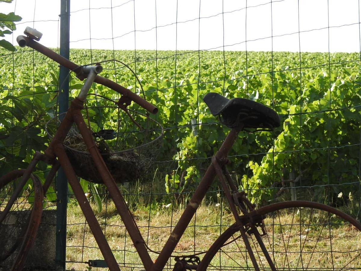 Au Coeur Des Vignes in Épernay, Marne