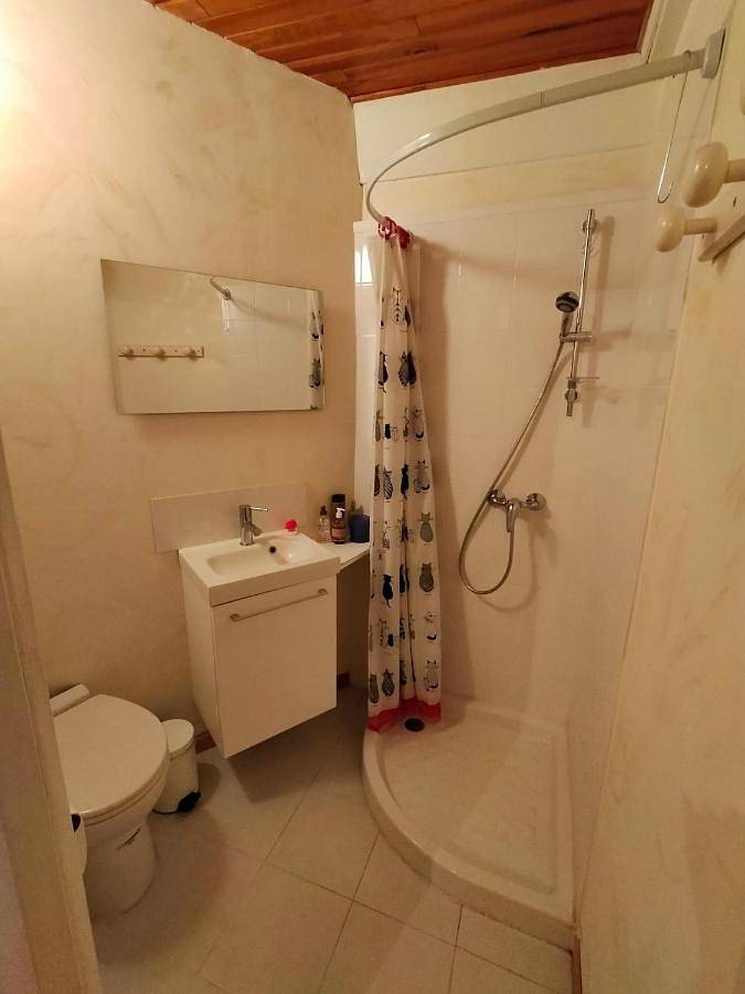 Location de vacances pour 5 personnes, avec terrasse et jardin, animaux acceptés à Craponne-sur-Arzon - 2