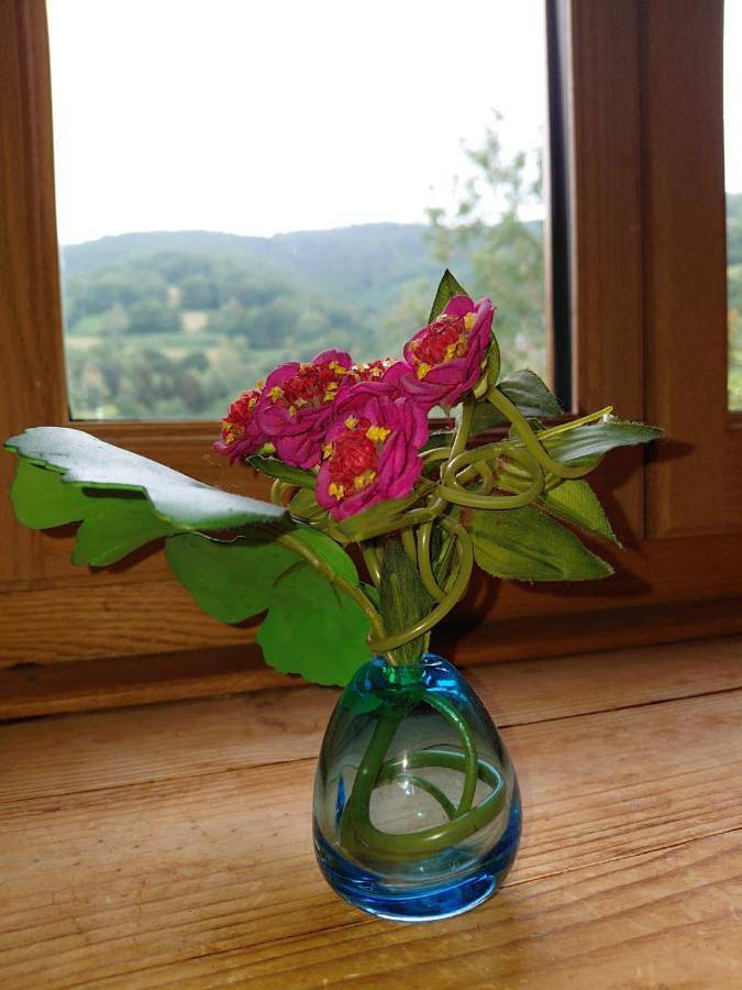 Double Room in Moulis (Ariège), Parc naturel régional des Pyrénées ariégeoises