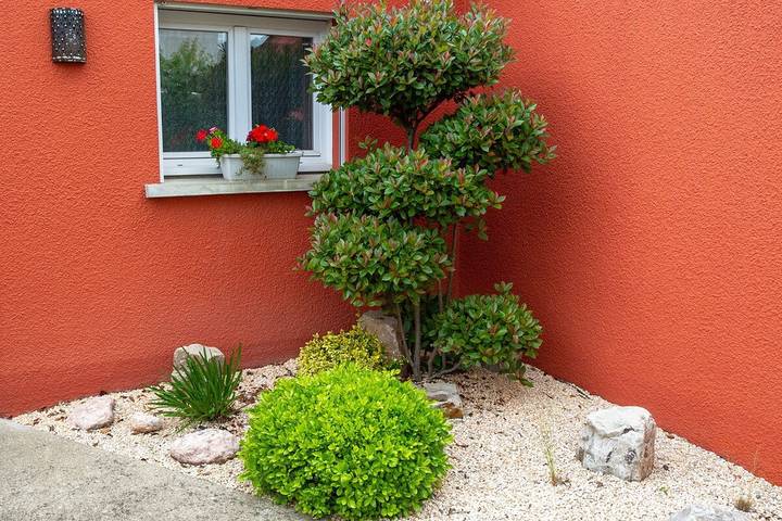 Location de vacances pour 4 personnes, avec jardin à Albi - 4