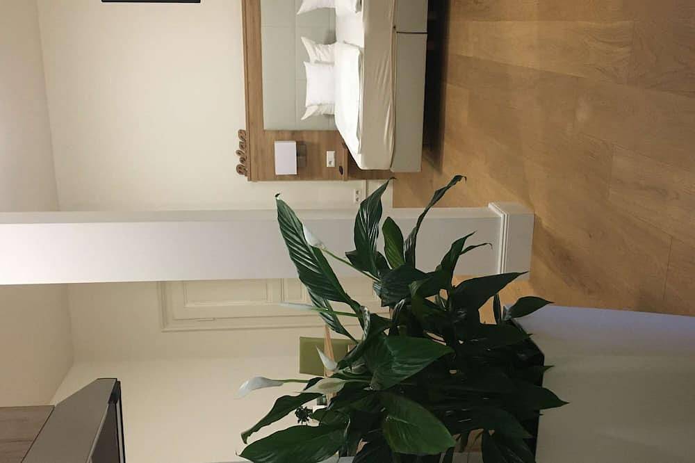 Ganze Wohnung, 2 Studios mit gemeinsamer Terrasse in Altstadt Heidelberg, Heidelberg