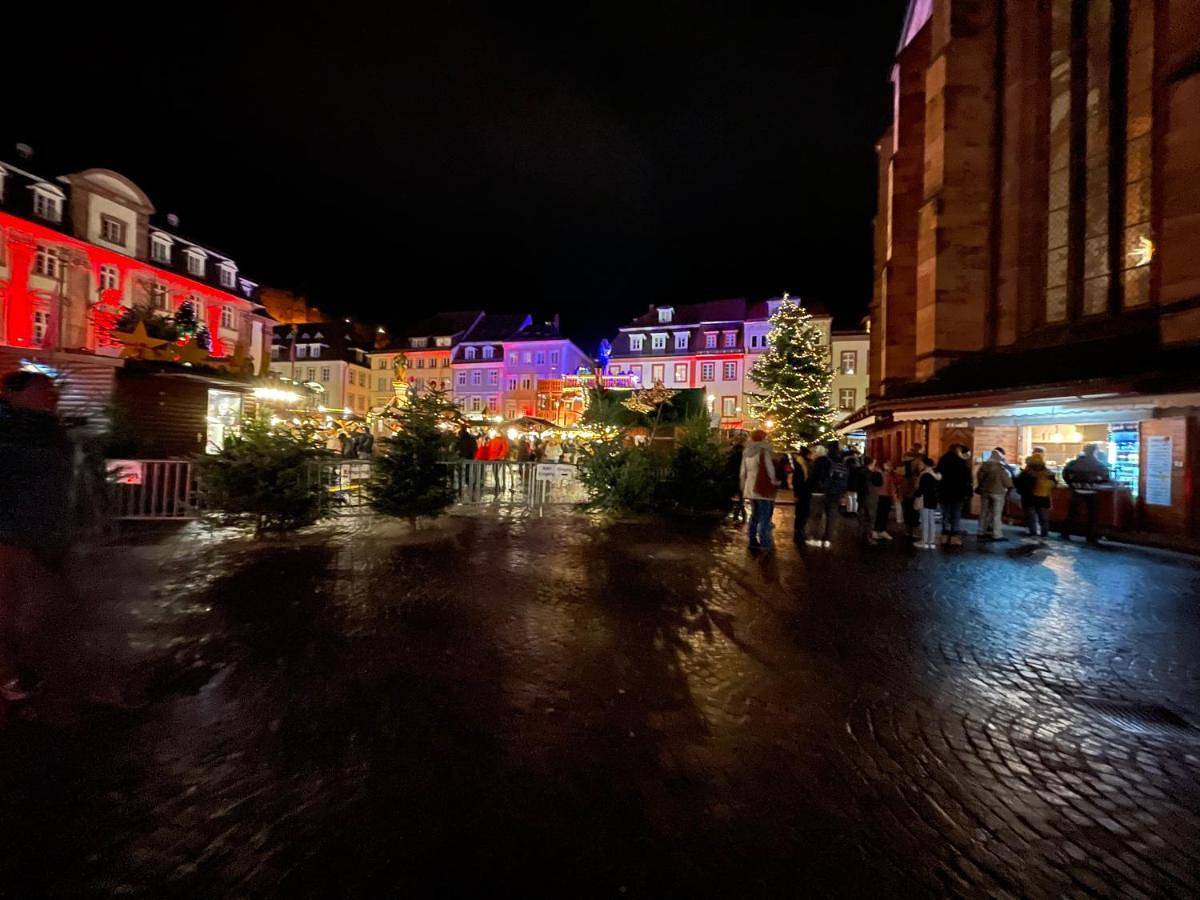 Gästehaus für 2 Personen mit Terrasse in Altstadt Heidelberg, Heidelberg