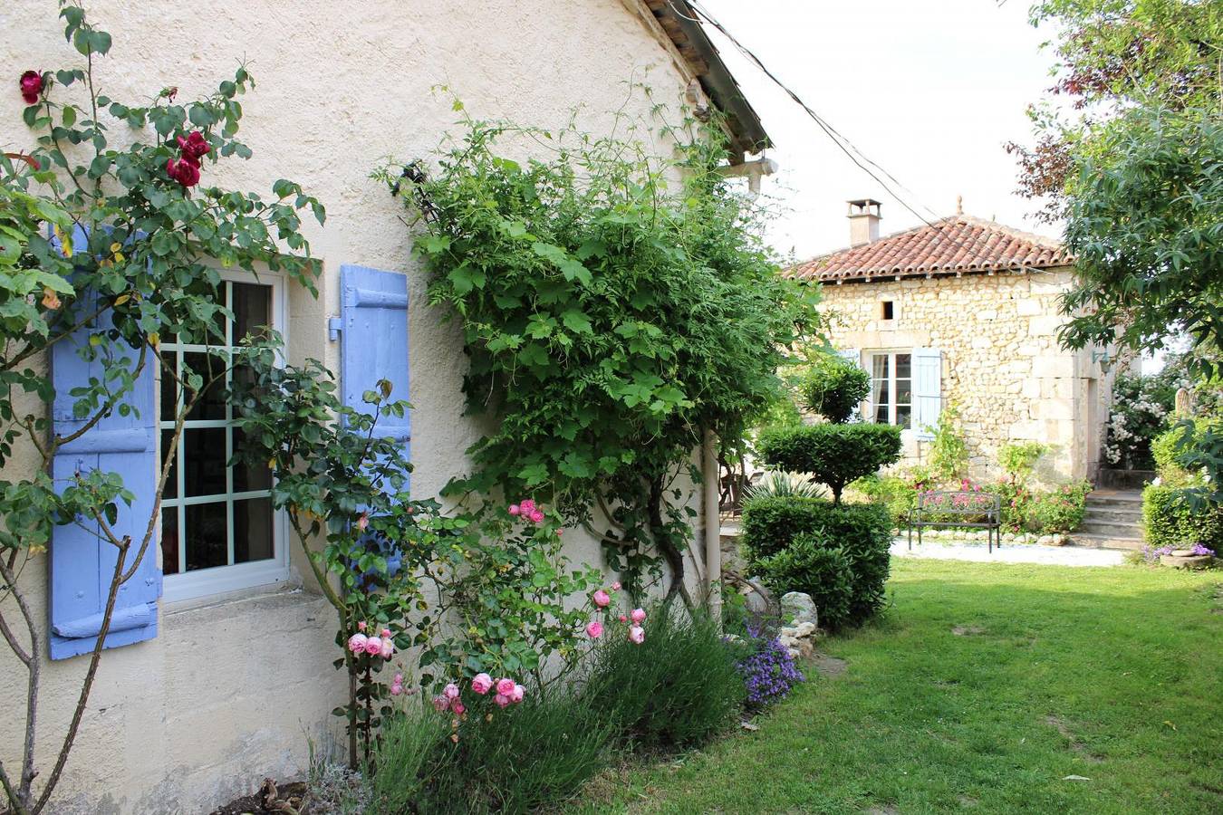 Marguerite in Brossac, Charente