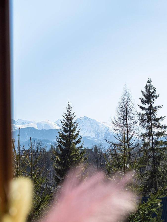 Gîte pour 3 personnes, avec jardin et jacuzzi à Poronin - 4
