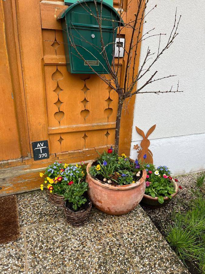 Ferienwohnung für 2 Personen, mit Balkon und Terrasse sowie Garten und Ausblick in Hallstatt - 3