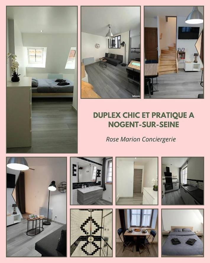 Gîte pour 4 personnes, animaux acceptés à Nogent-sur-Seine - 2