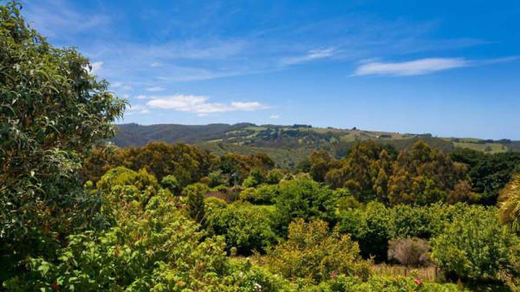 120 Biddles - Apollo Bay, Vic in Skenes Creek, Colac Otway Shire