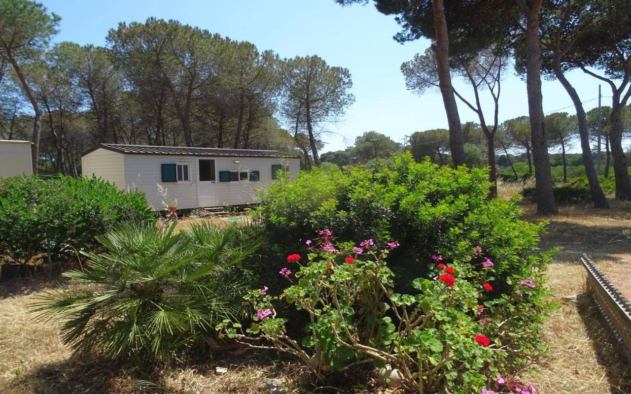 Villaggio Camping Nurral in Fertilia, Provincia di Sassari