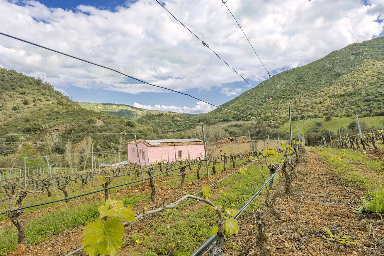 Entire apartment, Podere Is Tres Fradis in Jerzu, Barbagia