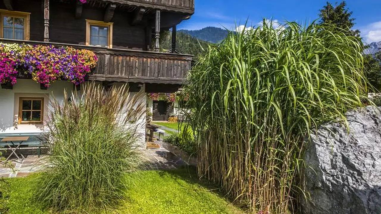 Ganze Ferienwohnung, Ferienwohnung für 6 Personen (100 m²) in Leogang in Loferer und Leoganger Steinberge, Leogang