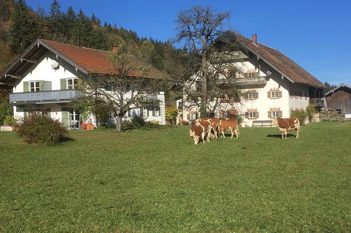Ferienwohnung für 4 Personen, mit Pool, mit Haustier - 1