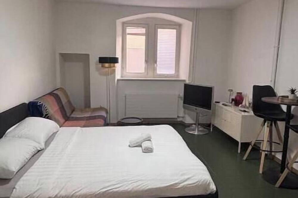 Ganze Wohnung, Zentral & kühl an der Kathedrale in Villars-les-Joncs, Freiburg im Üechtland