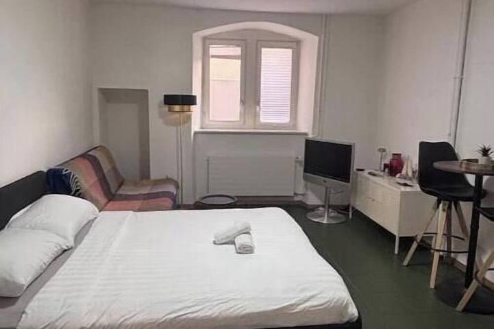 Ganze Wohnung, Zentral & kühl an der Kathedrale in Villars-les-Joncs, Freiburg im Üechtland