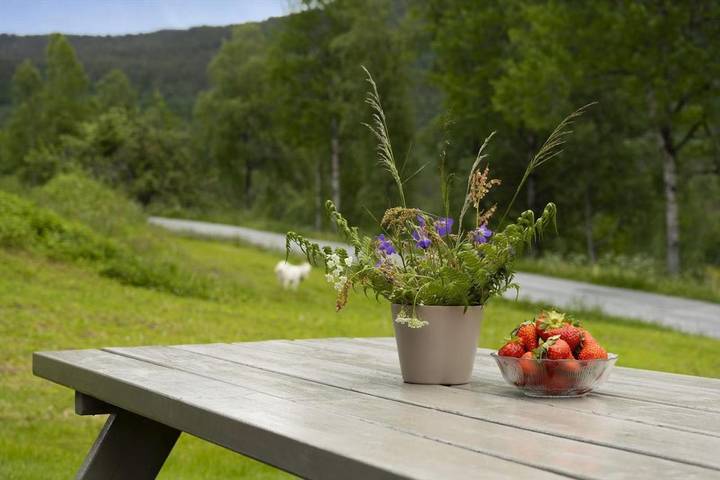 Ferienhaus für 5 Personen, mit Balkon und Terrasse sowie Garten und Ausblick in Surnadal - 2