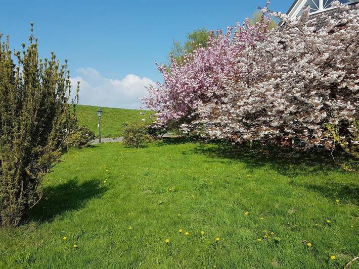 Ferienhaus für 6 Personen, mit Terrasse und Garten in Balje - 2