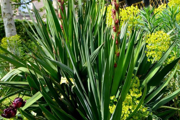 Chambre d’hôte pour 2 personnes, avec jardin et vue à Caen - 4