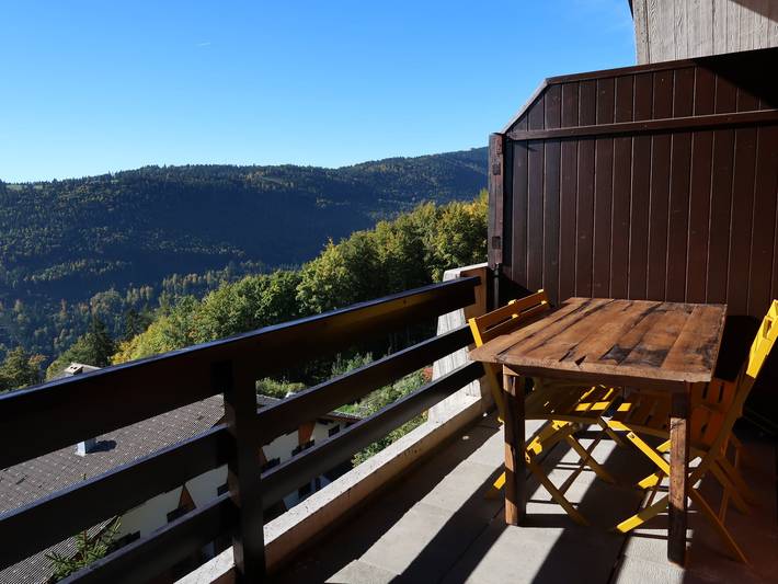 Ganze Wohnung, Cassiopée 26 in Sainte-Croix (Schweiz), Nord Vaudois