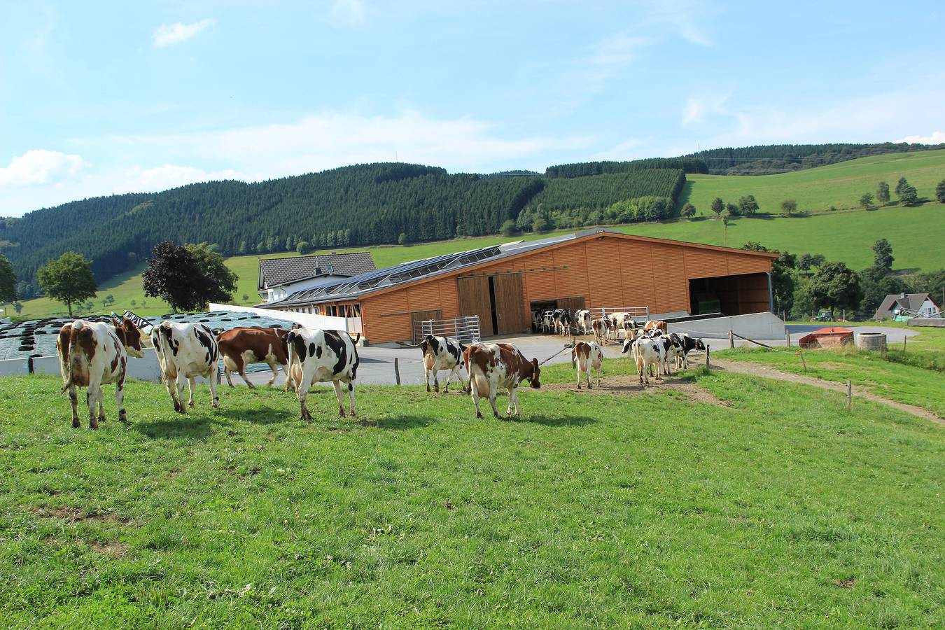 Ferienbauernhof Gördes - Taubenschlag, 53qm, 2 Schlafzimmer in Schmallenberg, Hochsauerlandkreis