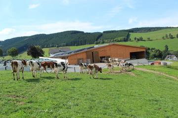 Vacation Rental for 4 Guests in Schmallenberg, Sauerland, Picture 3