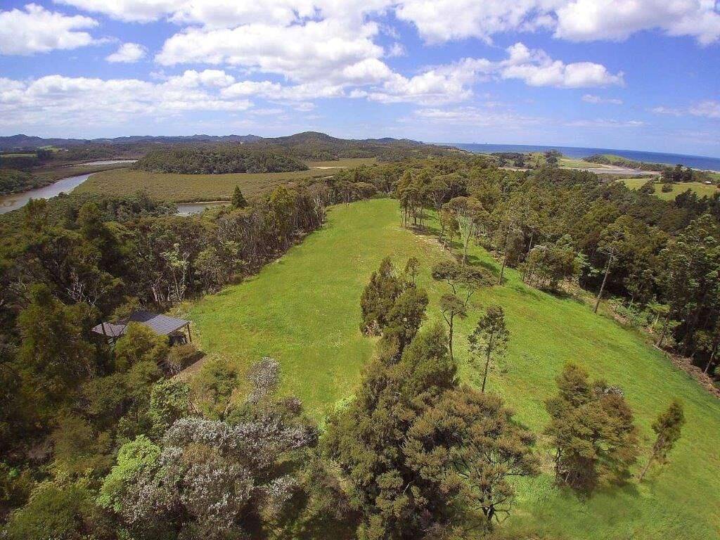 Ein einheimisches neuseeländisches Küstenerlebnis in Whangarei District