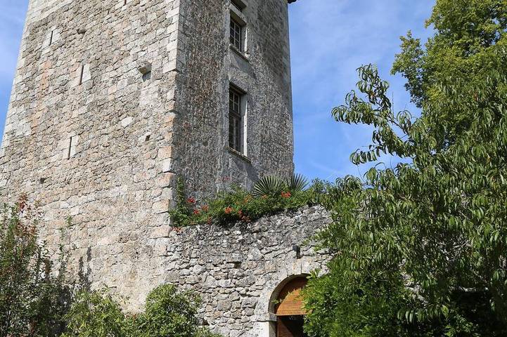 Gîte pour 20 personnes, avec Jardin et Piscine à Fargues-sur-Ourbise