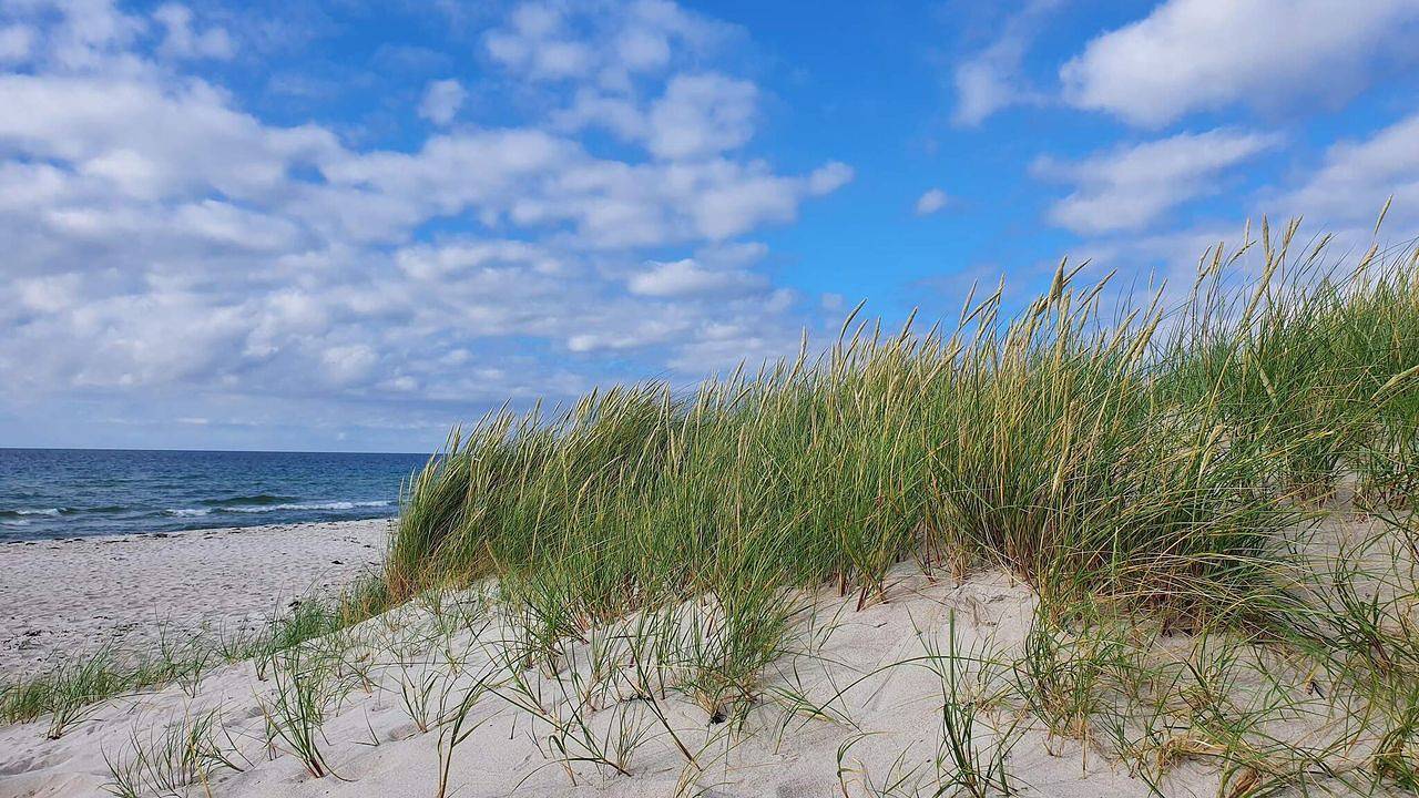 Ferienhaus für 8 Personen (105 m²) in Rørvig in Rørvig, Nordwestseeland