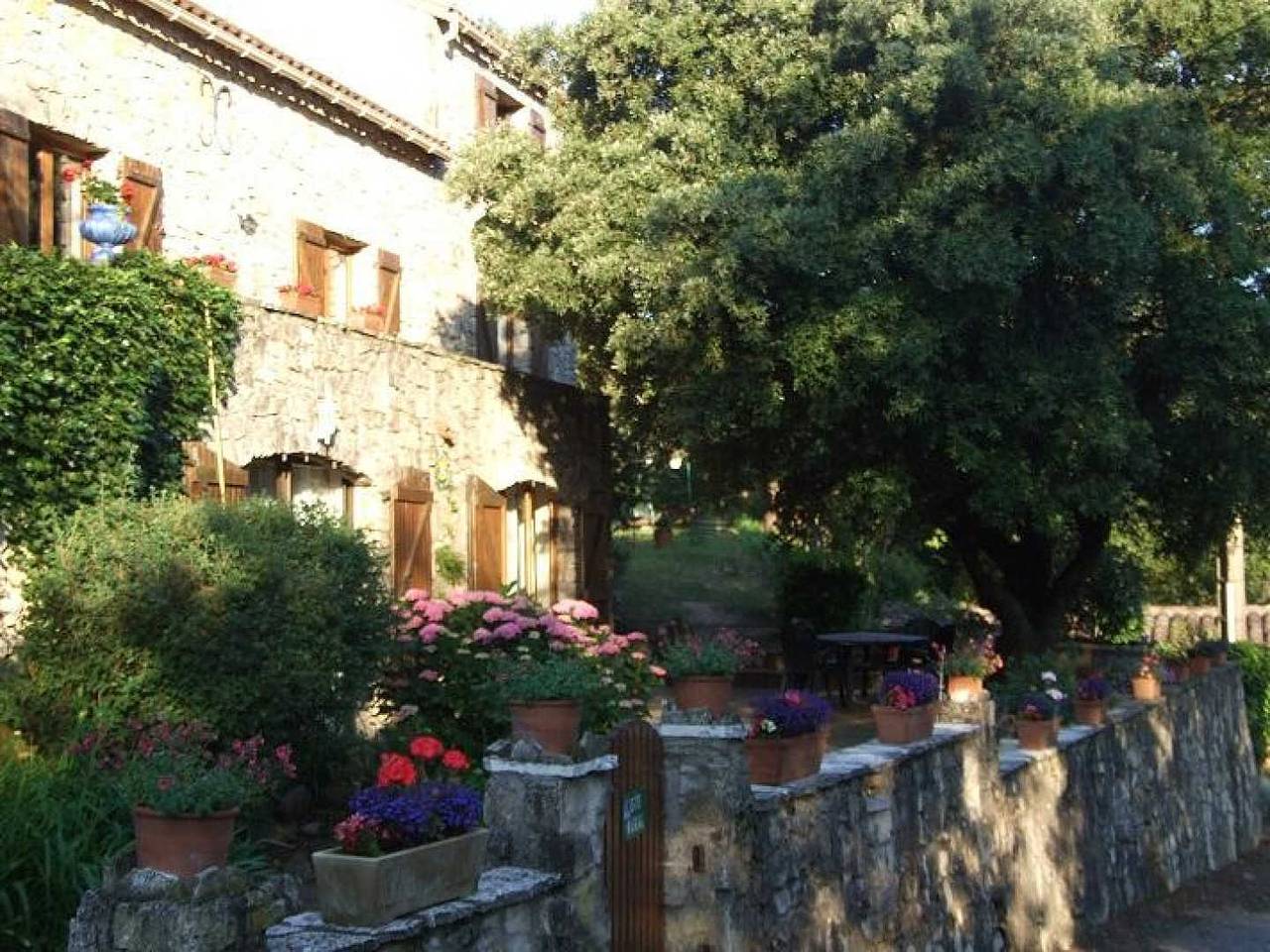 Le chêne vert 2 in Dio-et-Valquières, Région de Lodève