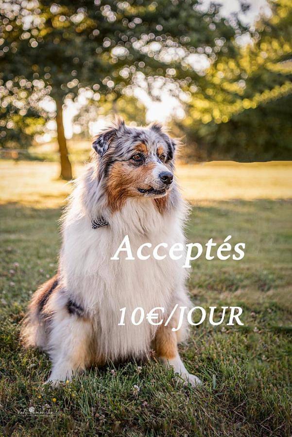 Location de vacances pour 6 personnes, avec vue ainsi que piscine et jardin à Arthon-en-Retz - 2