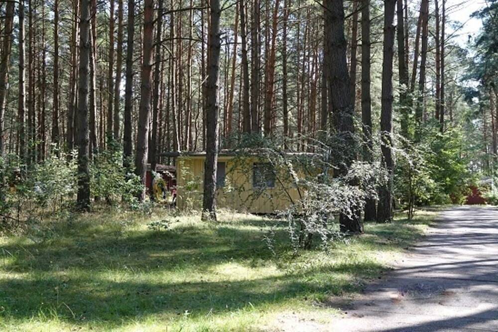 Bungalow C 1 - Feriendorf Silz im Kiefernwald mit eigenem Strandzugang in Silz, Fleesensee