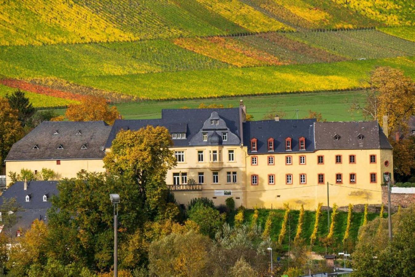 Ganze Wohnung, Ferienwohnung 'Wohnen Auf Dem Weingut - Klein Und Fein' mit Gemeinschaftsterrasse in Maring-Noviand, Bernkastel-Kues & Umgebung