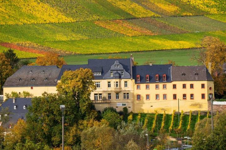 Hel lejlighed, Apartment 'Wohnen Auf Dem Weingut - Klein Und Fein' with Shared Terrace, Shared Garden and Wi-Fi in Maring-Noviand, Bernkastel-Kues Området