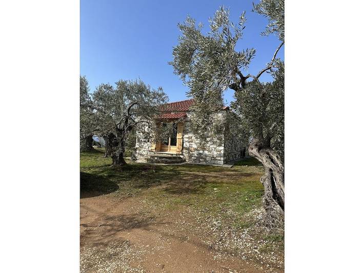 Ferienhaus für 4 Personen, mit Terrasse und Garten am Pilion - 3