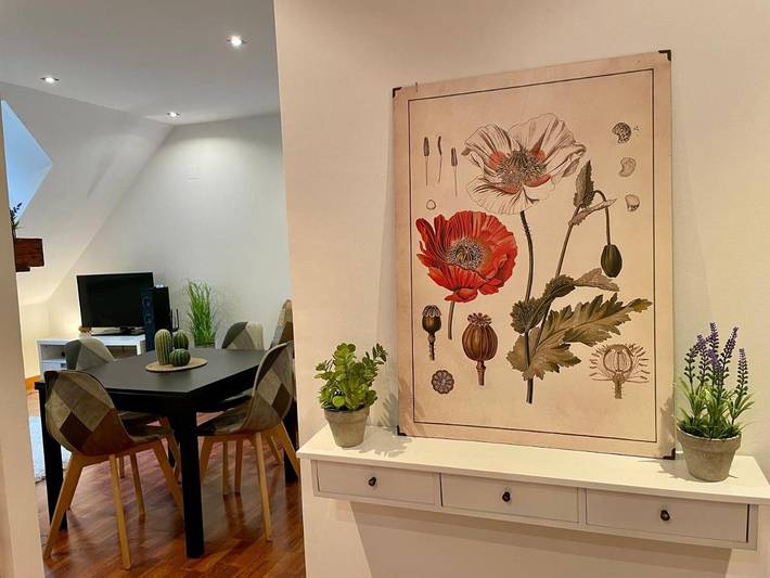 Gîte pour 4 personnes, avec vue à Canfranc - 4