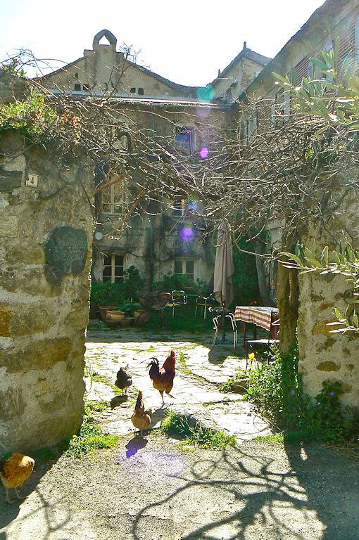 Location de vacances pour 8 personnes, avec jardin, animaux acceptés dans les Pyrénées-Orientales - 2