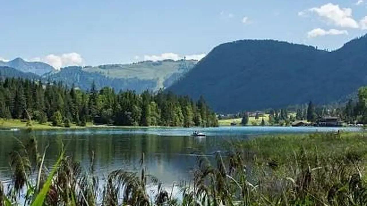 Geheel vakantieappartement, Ferienwohnung für 2 Personen (33 m²) in Fieberbrunn in Fieberbrunn, Bezirk Kitzbühel (stad)