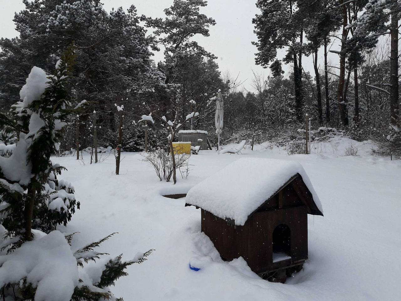 Ganze Ferienwohnung, Ferienhaus Auf dem Galgenberg Loddin - Ferienwohnung groß in Loddin, Bernsteinbäder