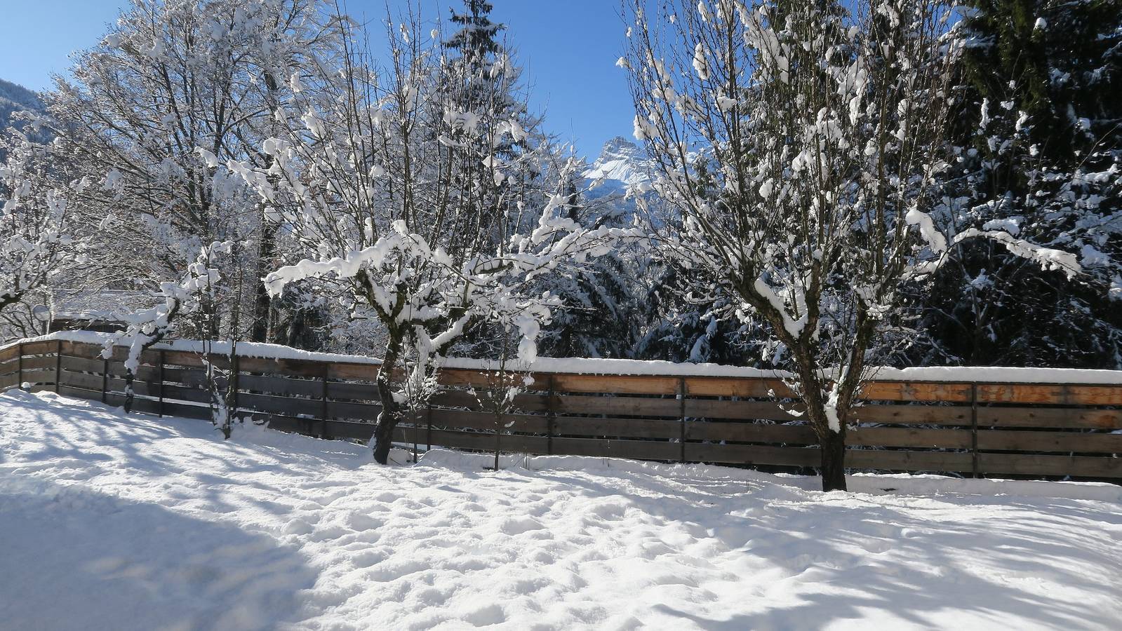 Ganze Wohnung, Ferienwohnung 'Bruna' mit Bergblick, privater Terrasse und Wi-Fi in Forno di Zoldo, Val di Zoldo