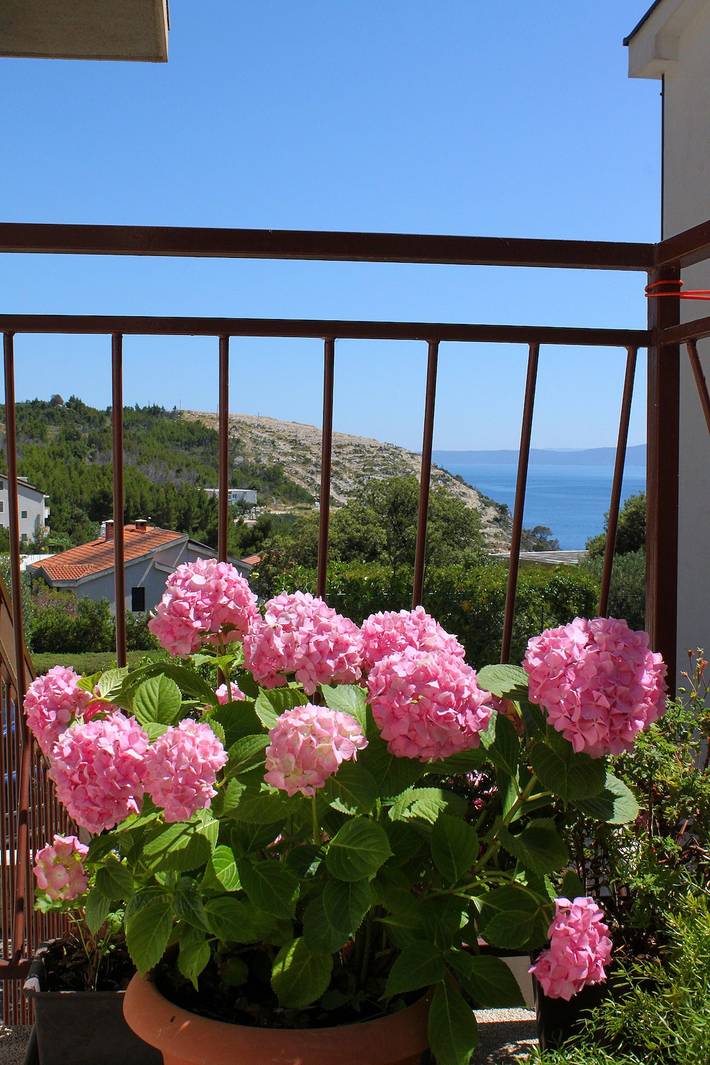 Ferienwohnung für 8 Personen, mit Balkon/Terrasse, mit Haustier in Krvavica - 2