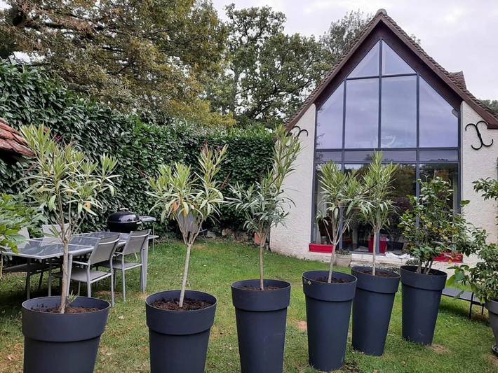 Location de vacances pour 4 personnes, avec vue et jardin à Villandry - 3