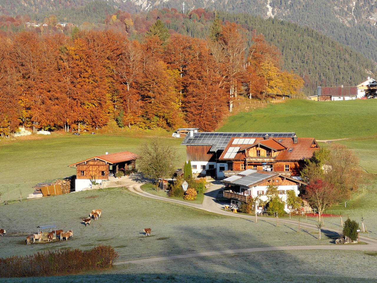 Ganze Ferienwohnung, Oberreitlehen - Ferienwohnung Watzmann für 1-2 Pers.,35 m², 1 Sz, Wohnküche, Terrasse in Bischofswiesen, Berchtesgadener Alpen