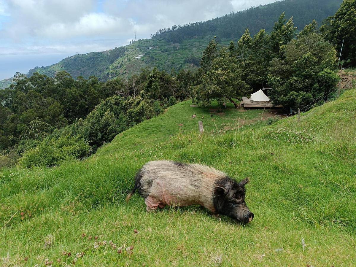 Arambha ecovillage farmstay in Pináculo, Tabua