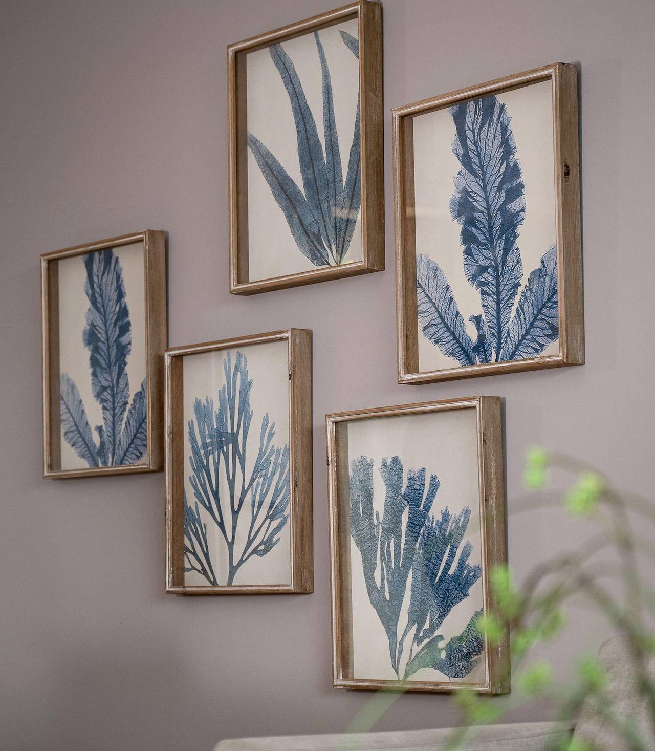 Ganze Ferienwohnung, Birke - Die Charmante in Burg auf Fehmarn, Fehmarn