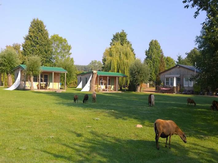 Ferienhaus für 3 Personen in Lütow - 4