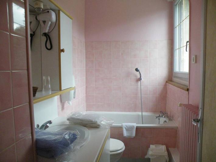 Hôtel pour 4 personnes, avec jardin, animaux acceptés à Chenonceaux - 3