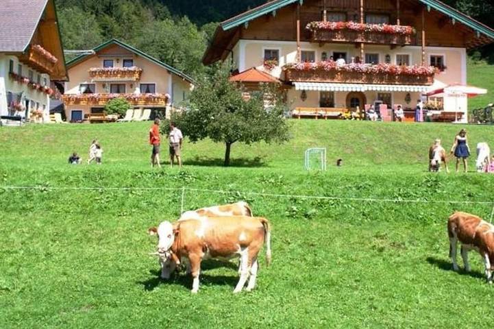 Agriturismo für 4 Personen, mit Garten und Sauna in Faistenau
