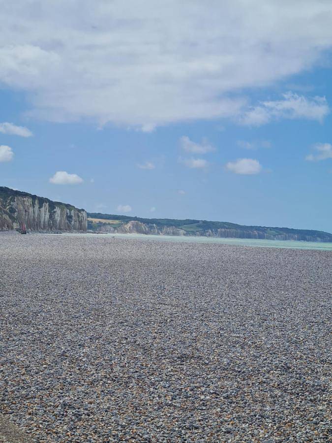 Location de vacances pour 4 personnes, avec jardin, animaux acceptés à Varneville-Bretteville - 3