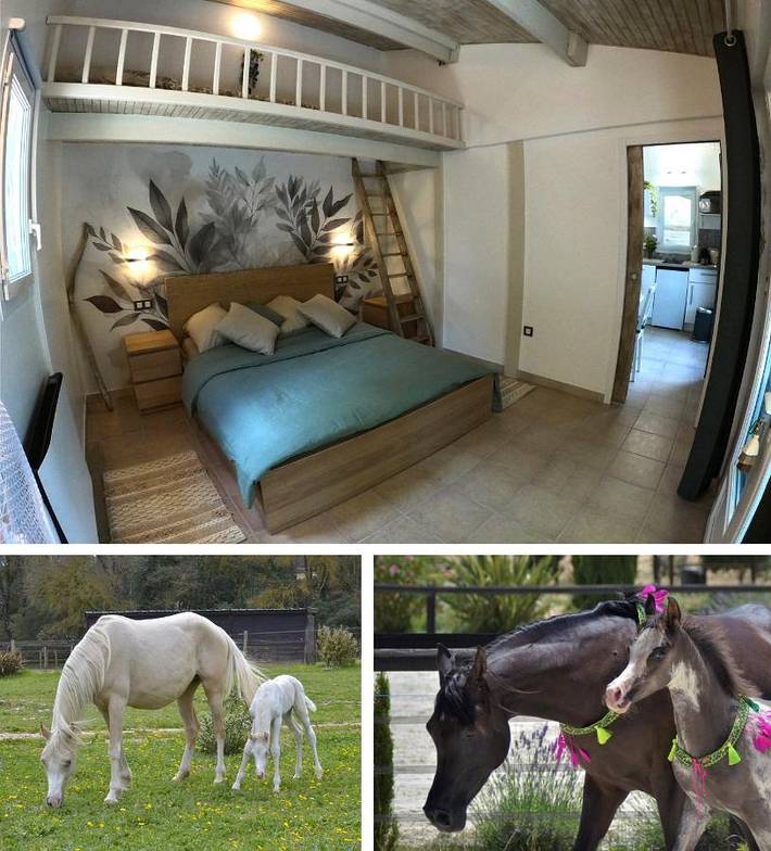 Appartement de vacances pour 3 personnes, avec jardin et vue, adapté aux familles