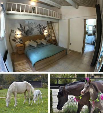 Gîte pour 3 personnes, avec jardin et vue, adapté aux familles à Camps-la-Source