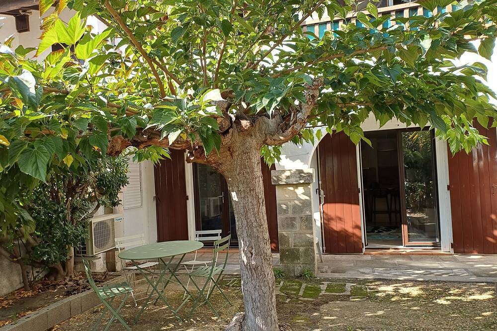 Ganze Wohnung, \"Sous le Mûrier\": apartment 5 minutes from the sea on foot in Saintes-Maries-de-la-Mer, Arles und Umgebung