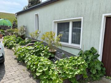 Bungalow für 3 Personen in Mönchgut, Rügen, Bild 4